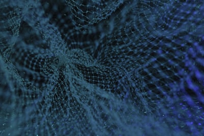 Síťová bezpečnost a ochrana IT infrastruktury